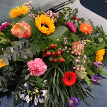 436c07ed-bba7-4b09-ac1d-32fb154b4709