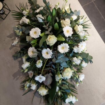 PHOTO-2023-07-29-14-53-51 (2)