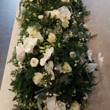 PHOTO-2023-07-29-14-53-51